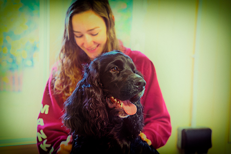 Dog Grooming Sheffield and Chesterfield